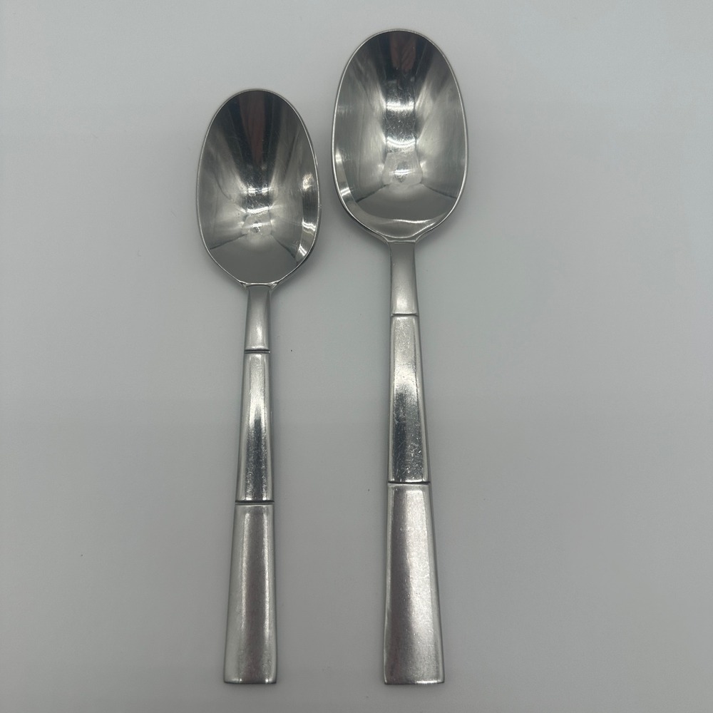 Oneida Echo 18/10 Stainless Steel Flatware 2 Piece Set Teaspoon and Soup Spoon
